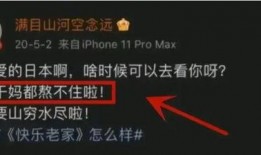 电视台内鬼爆料视频,内鬼爆料视频曝光惊人真相